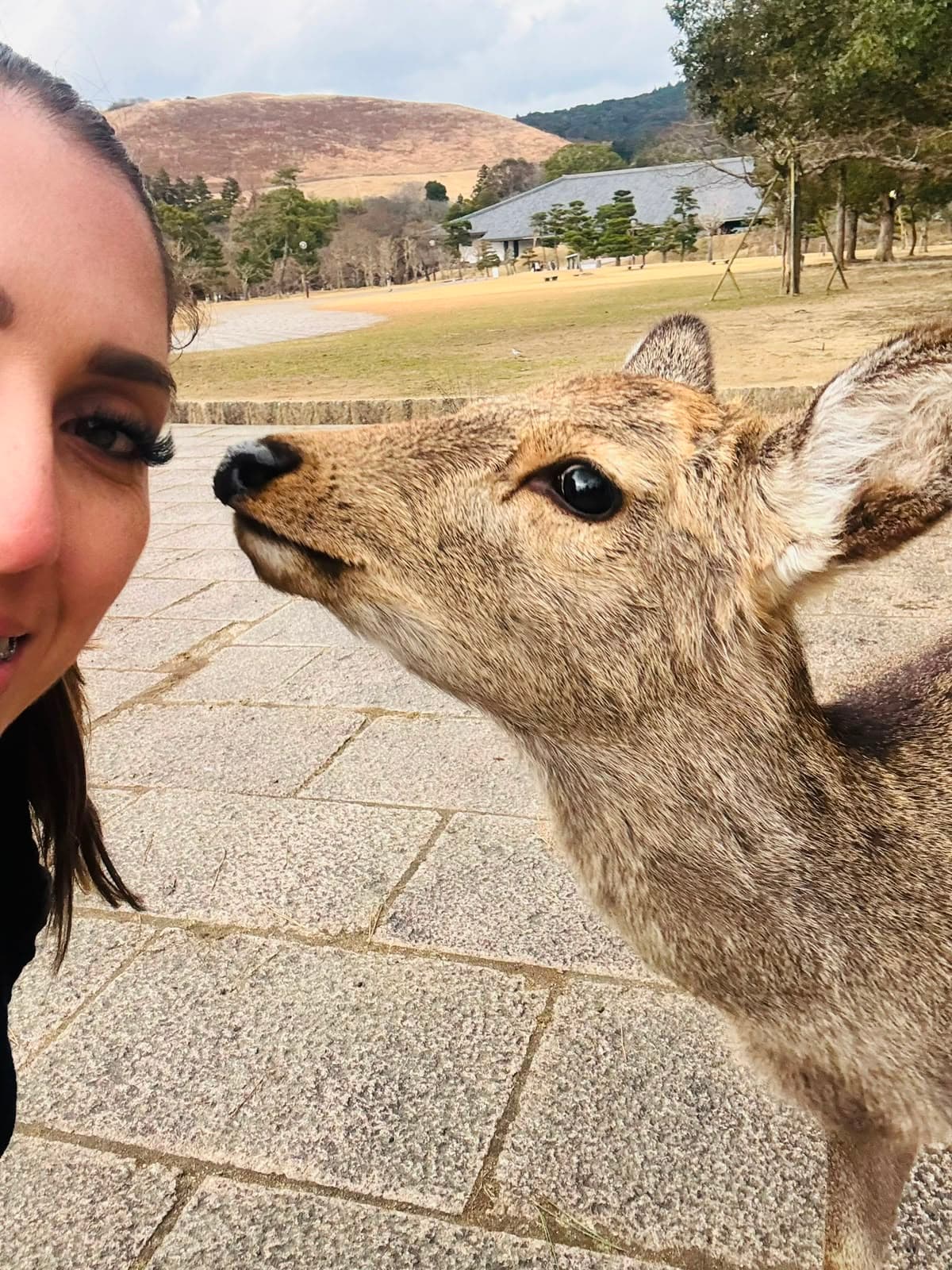 Foto de viaje a Japón 52