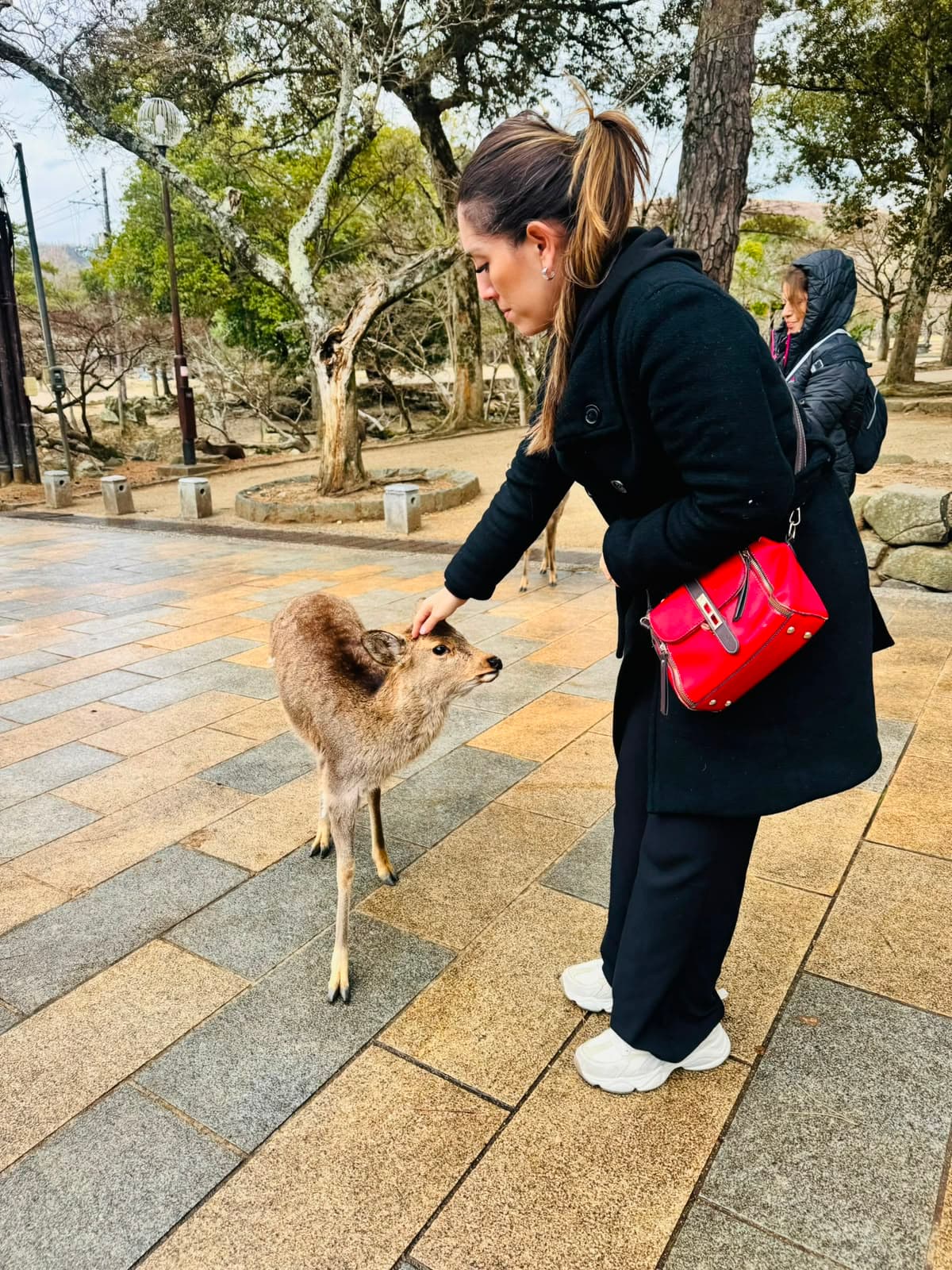 Foto de viaje a Japón 53