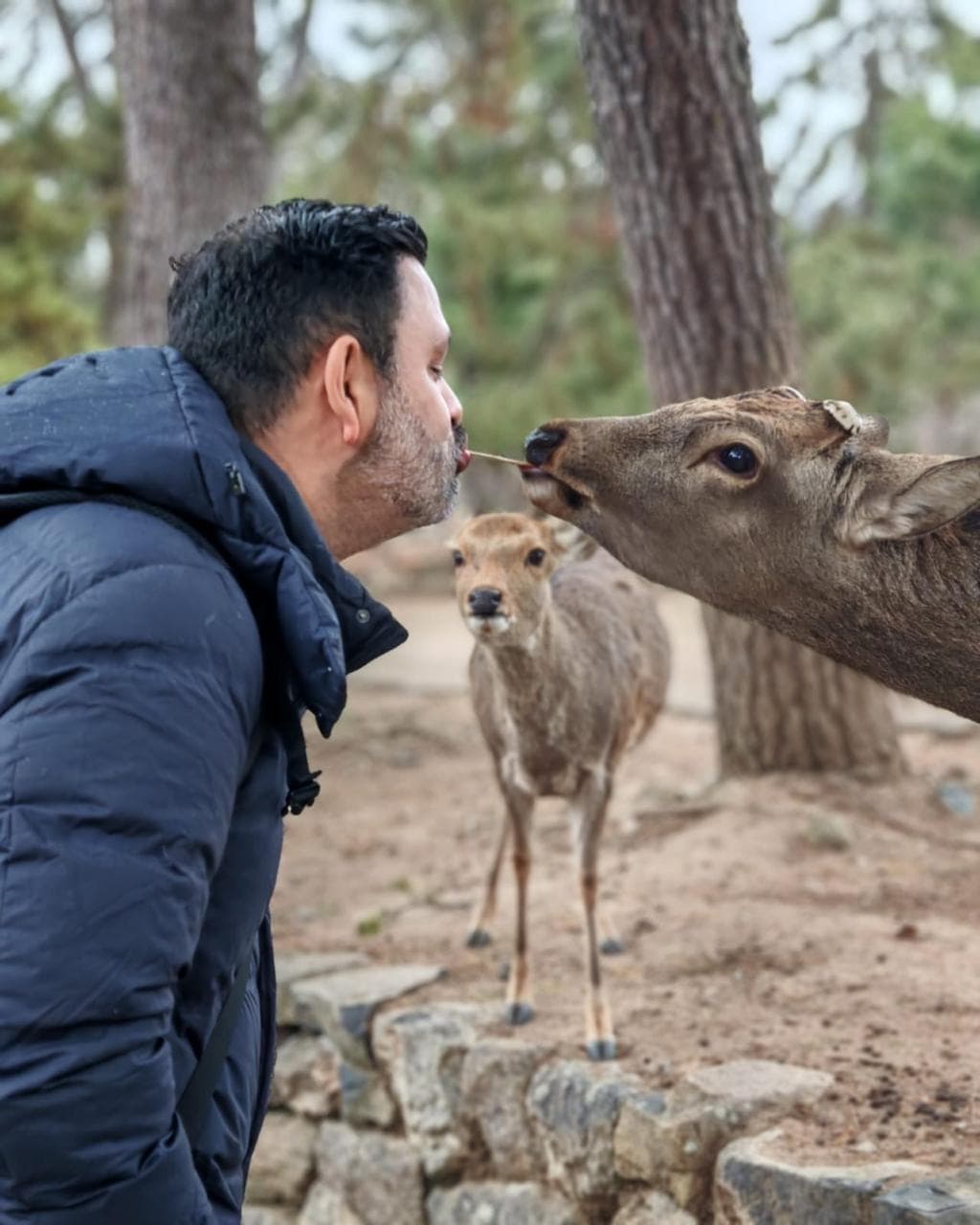 Foto de viaje a Japón 26