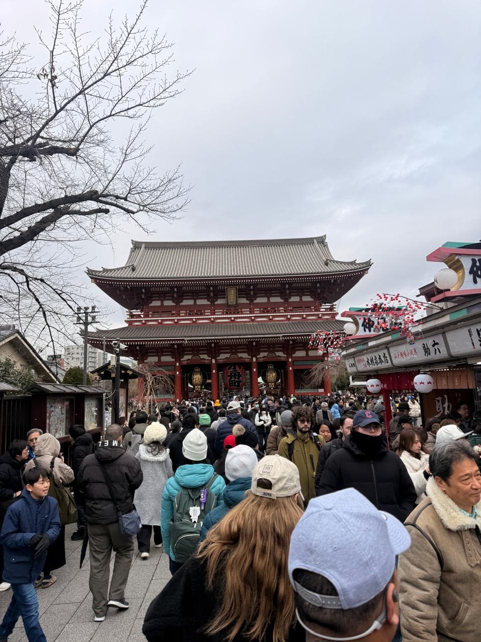 Foto de viaje a Japón 28