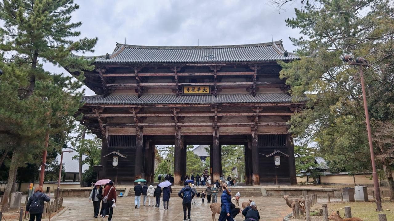Foto de viaje a Japón 5