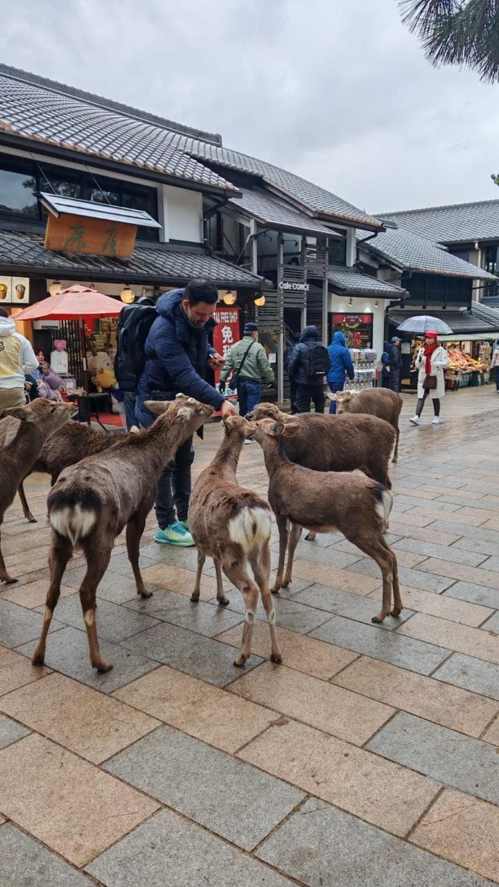 Foto de viaje a Japón 7