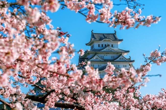 Japón en Primavera